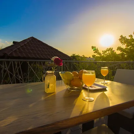 Near The Brodarica (Sibenik-Knin)