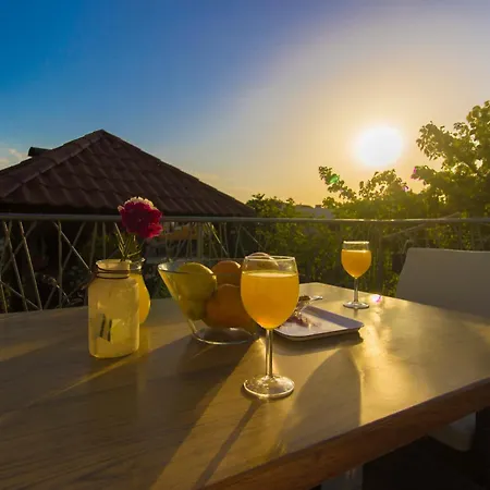 Near The Brodarica (Sibenik-Knin)